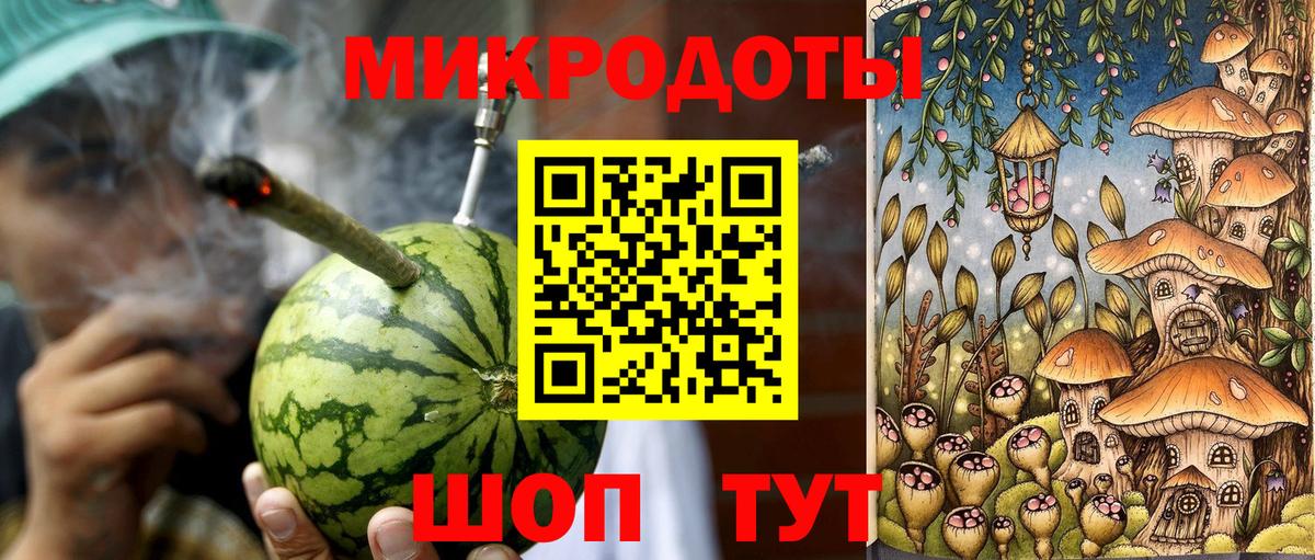 Псилоцибиновые грибы мицелий Звенигород