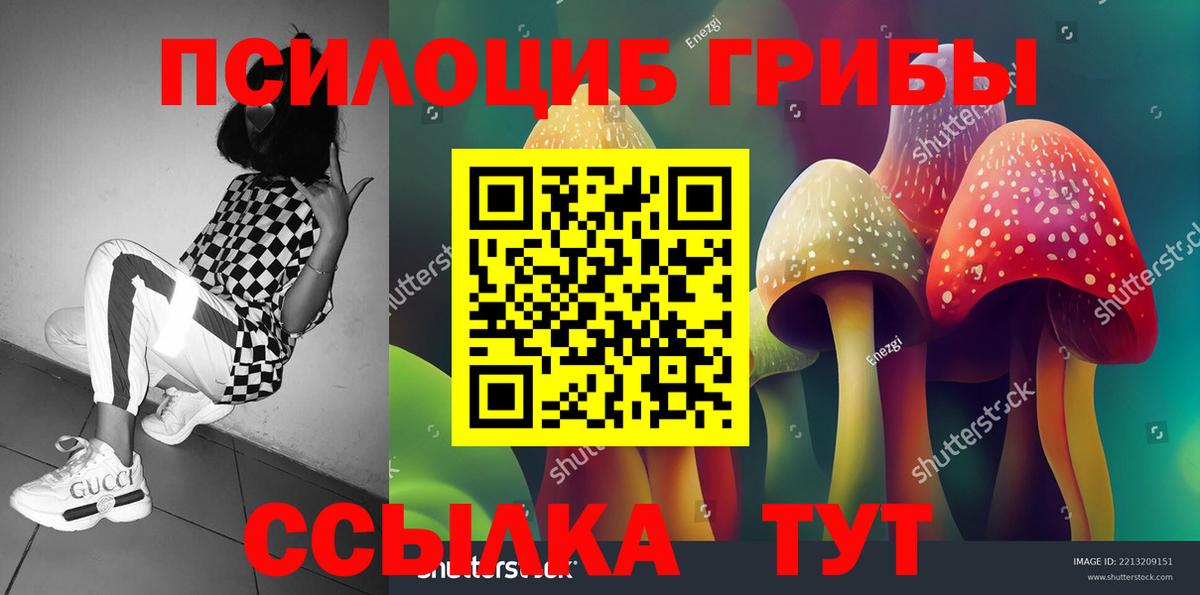 Звенигород  Галлюциногенные грибы MAGIC MUSHROOMS  Вход с VPN 